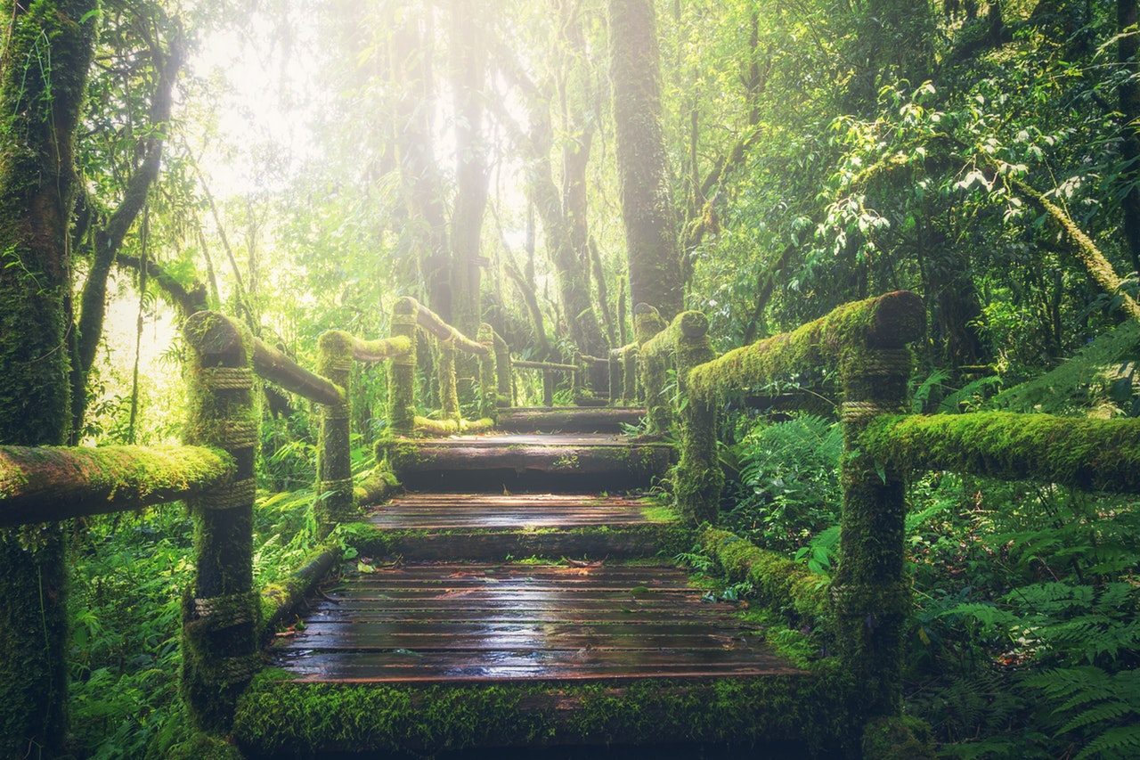 take mom hiking on mother`s day