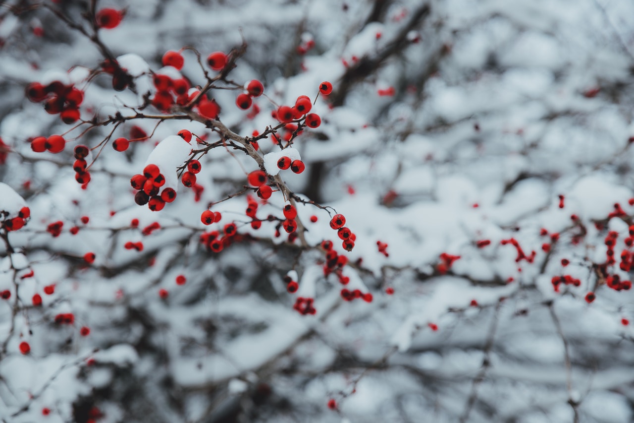 winter wedding ideas