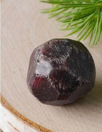 january's birthstone