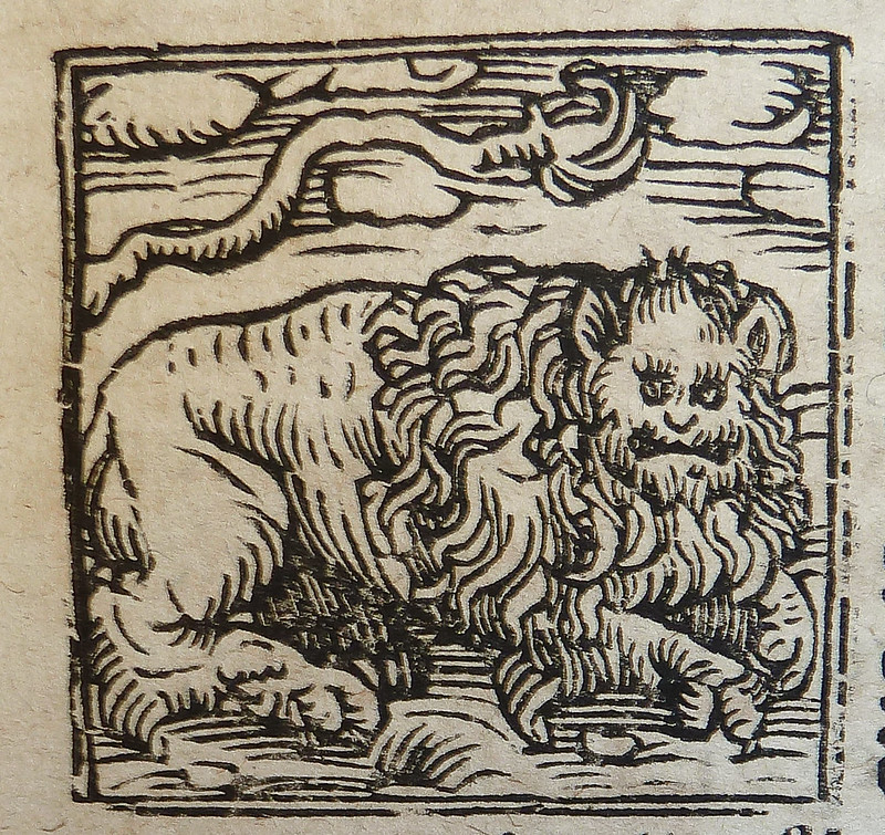 july's zodiac signs