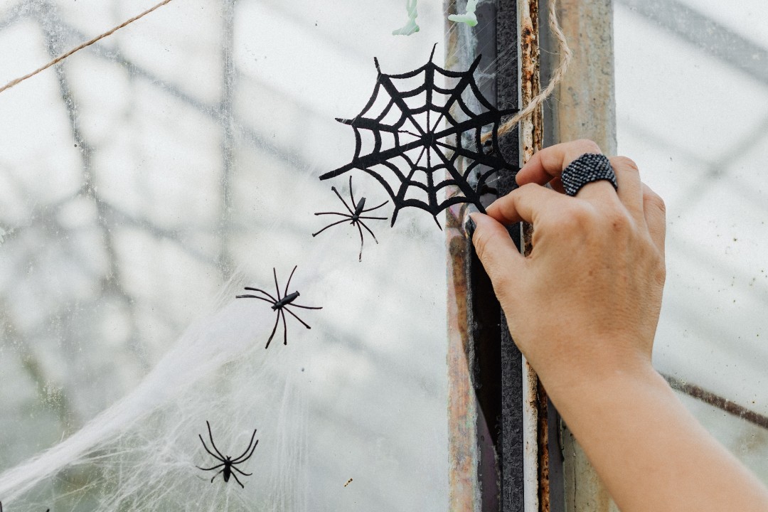 spooky jewellery you can wear all year