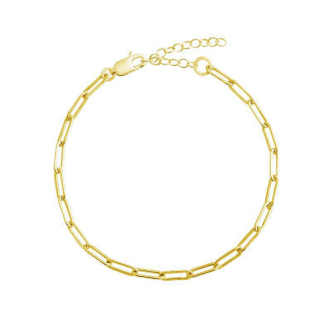 Sterling Silver Gold Vermeil Paperclip Link Chain Anklet (ANK-1091)